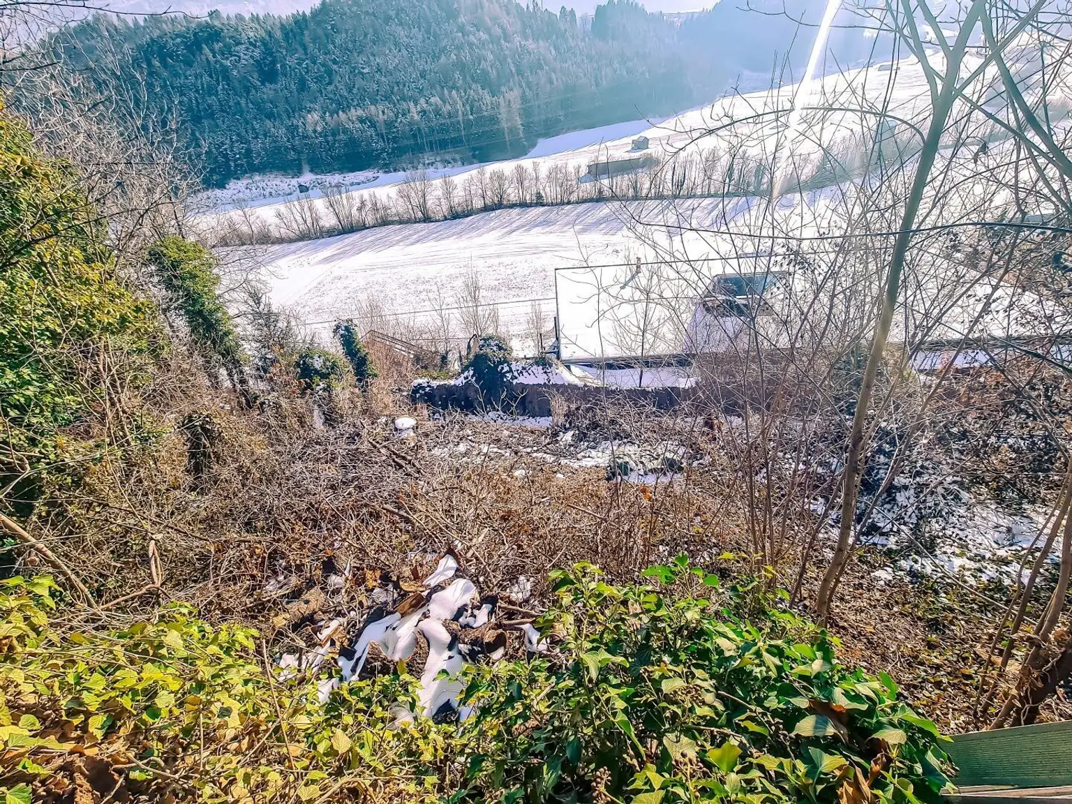 1003270476_2