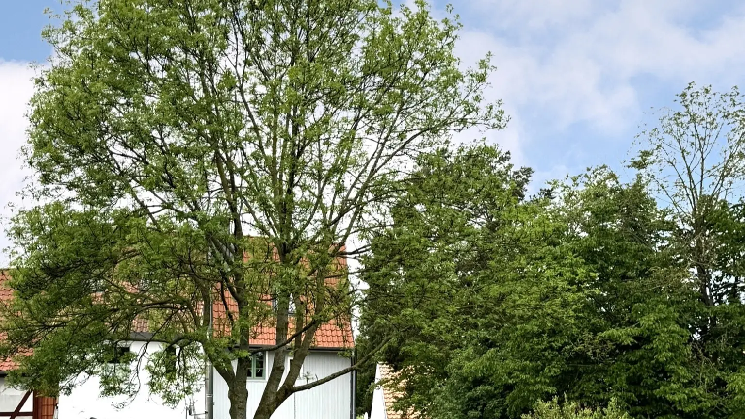 Blick vom Garten16-9