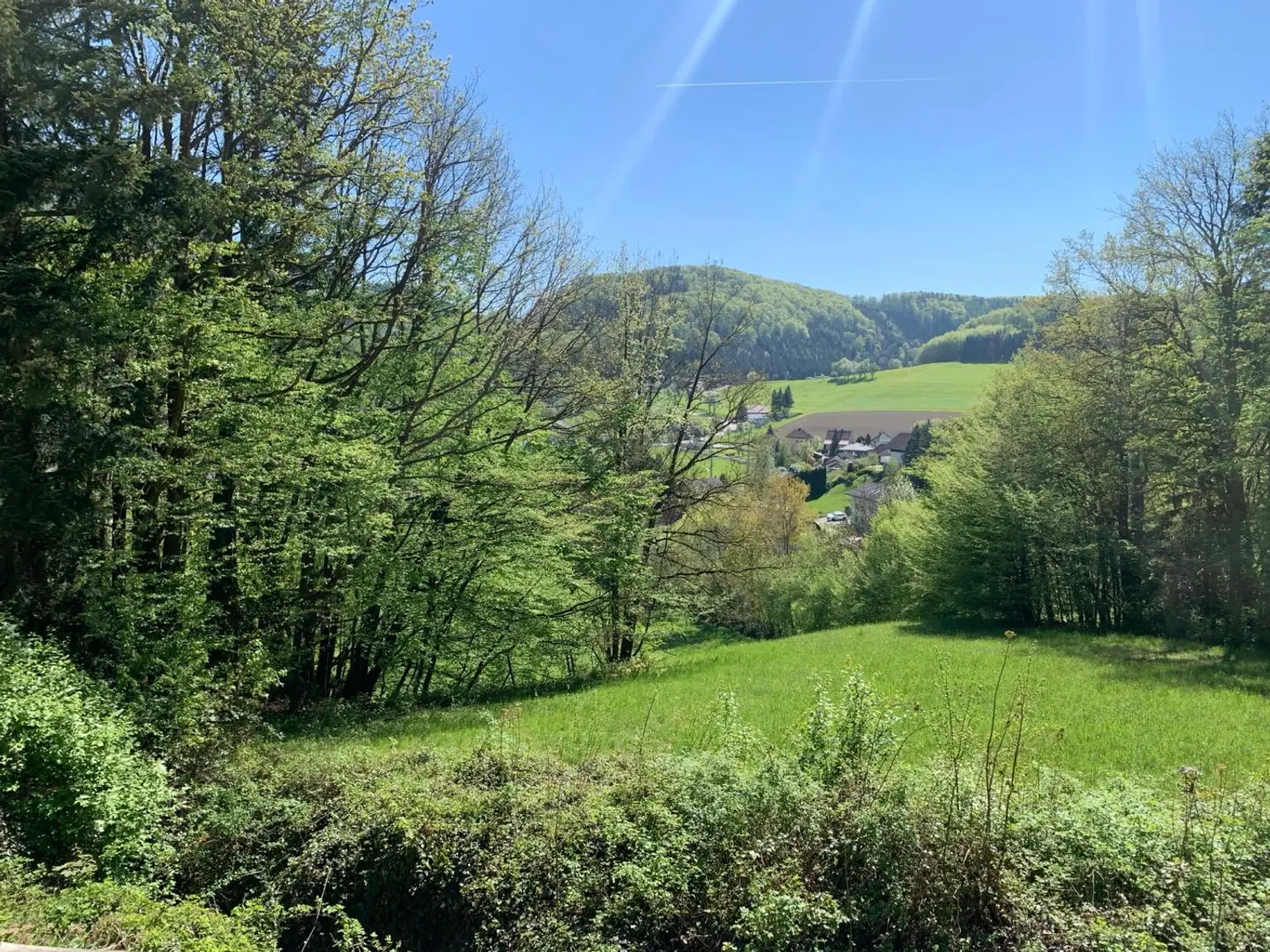 Ausblick