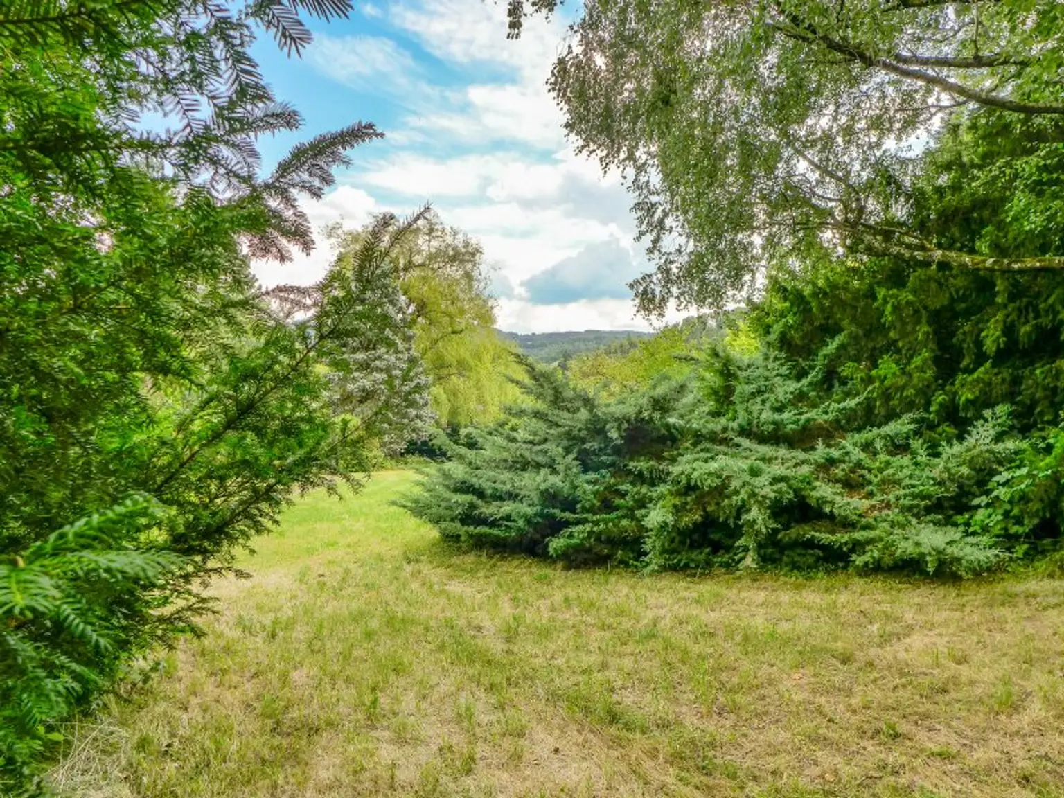 Entwicklungsfähige Liegenschaft im Wienerwald - 6.293 m² Bauland Wohngebiet