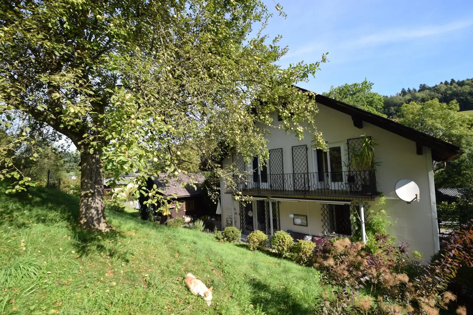 Wohnhaus mit großem Grundstück – für Selbstversorger & autarkes Leben
