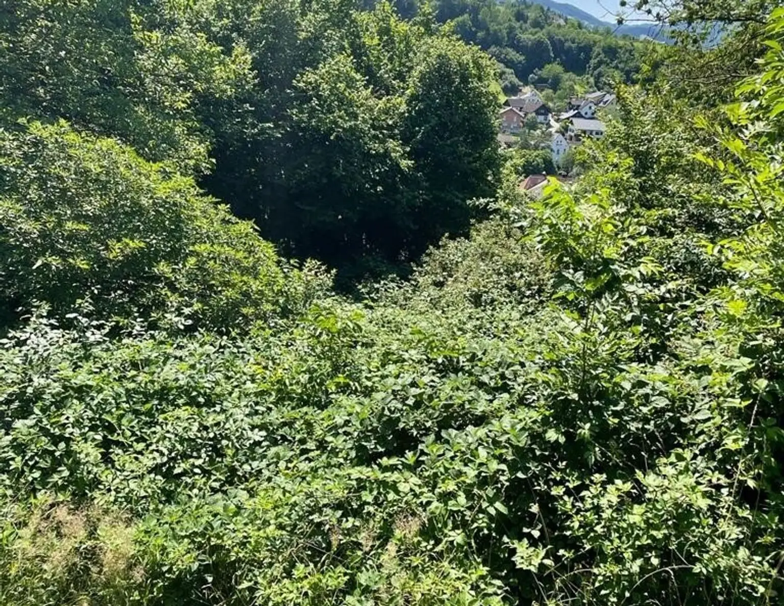 Landwirtschaftliches Grundstück Mitten im Ort-Ybssitz-Niederösterreich