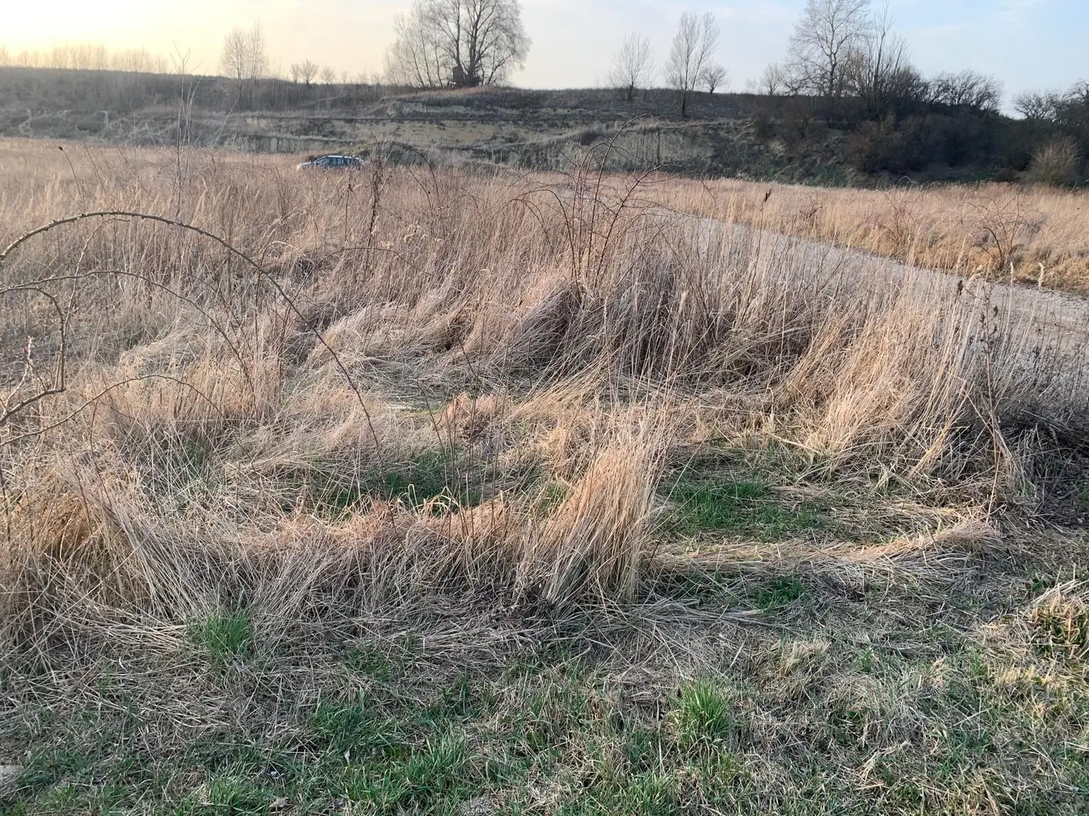 INDUSTRIEGRUNDSTÜCK - 40 Minuten vor Wien