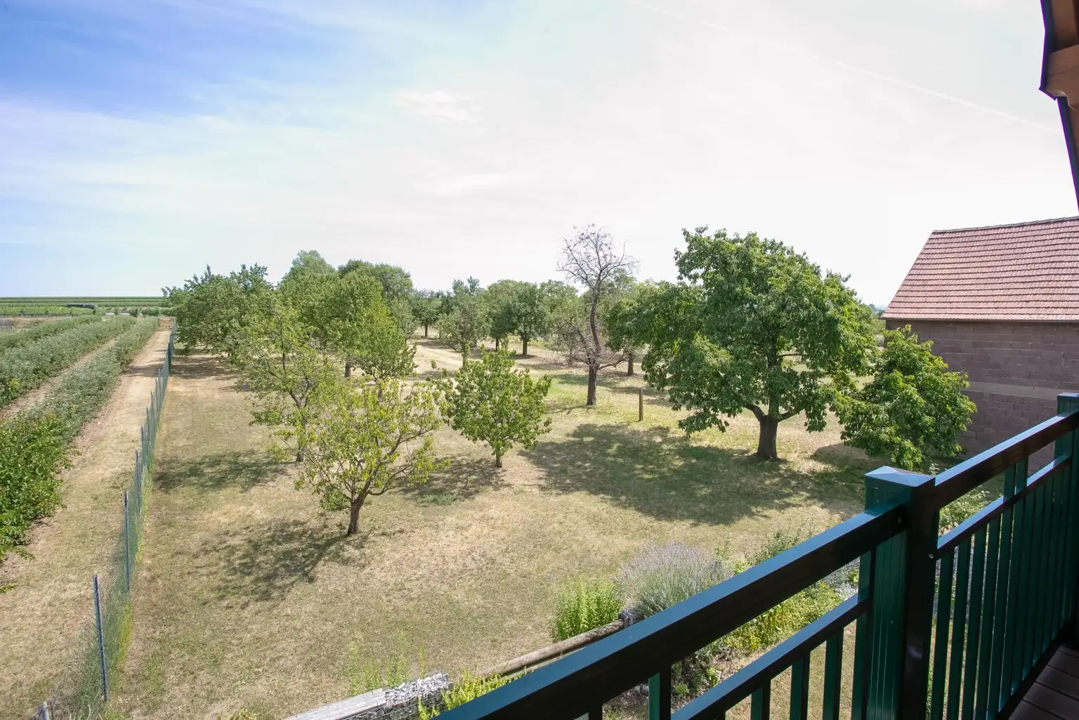 Ausblick Balkon