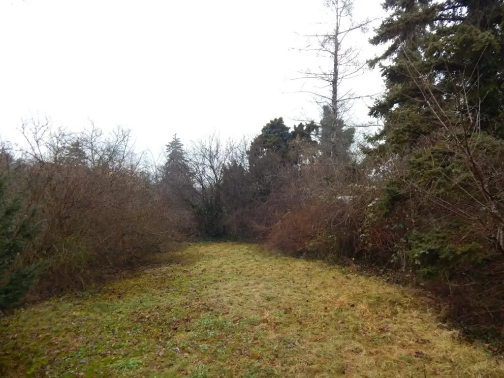 Bastlerhit mit großem Garten - ruhig in einer Sackgasse gelegen