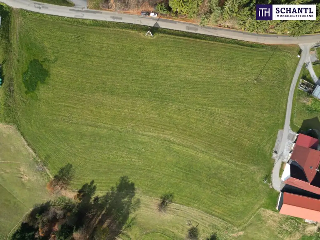 SPITZEN Grundstück vollerschlossen mit hoher Bebauungsdichte - ca. 330m² Wohnfläche in Oisnitz / St. Josef - Nähe Lannach