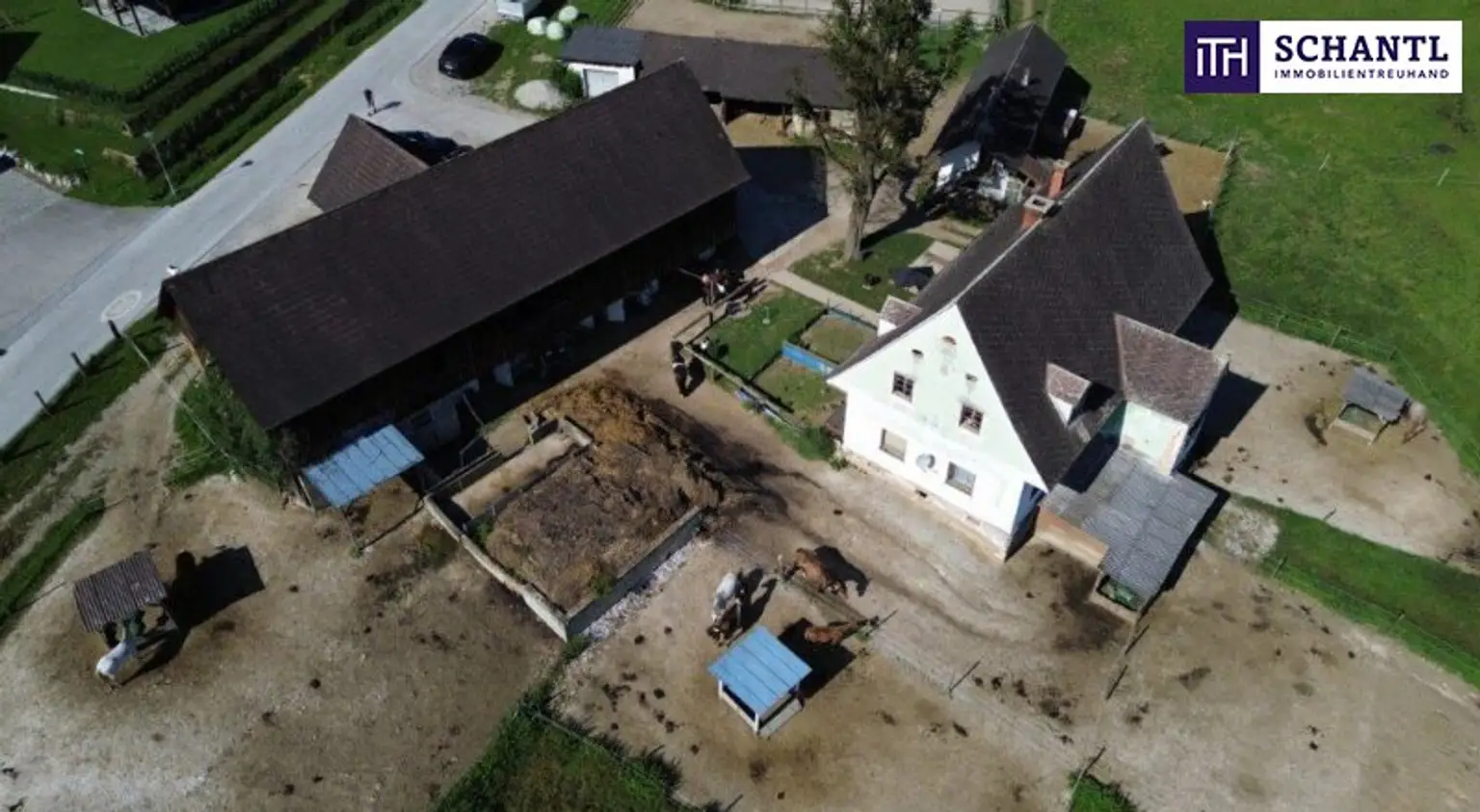 PFERDERANCH IN DER GRÜNEN STEIERMARK! Idyllischer Reiterhof in der Steiermark – Natur, Ruhe & Freiheit genießen! GLEICH ANFRAGEN UND BESICHTIGUNGSTERMIN VEREINBAREN!