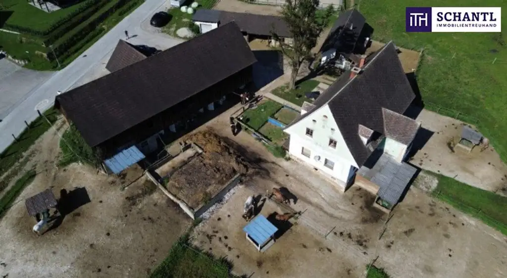 PFERDERANCH IN DER GRÜNEN STEIERMARK! Idyllischer Reiterhof in der Steiermark – Natur, Ruhe & Freiheit genießen! GLEICH ANFRAGEN UND BESICHTIGUNGSTERMIN VEREINBAREN!
