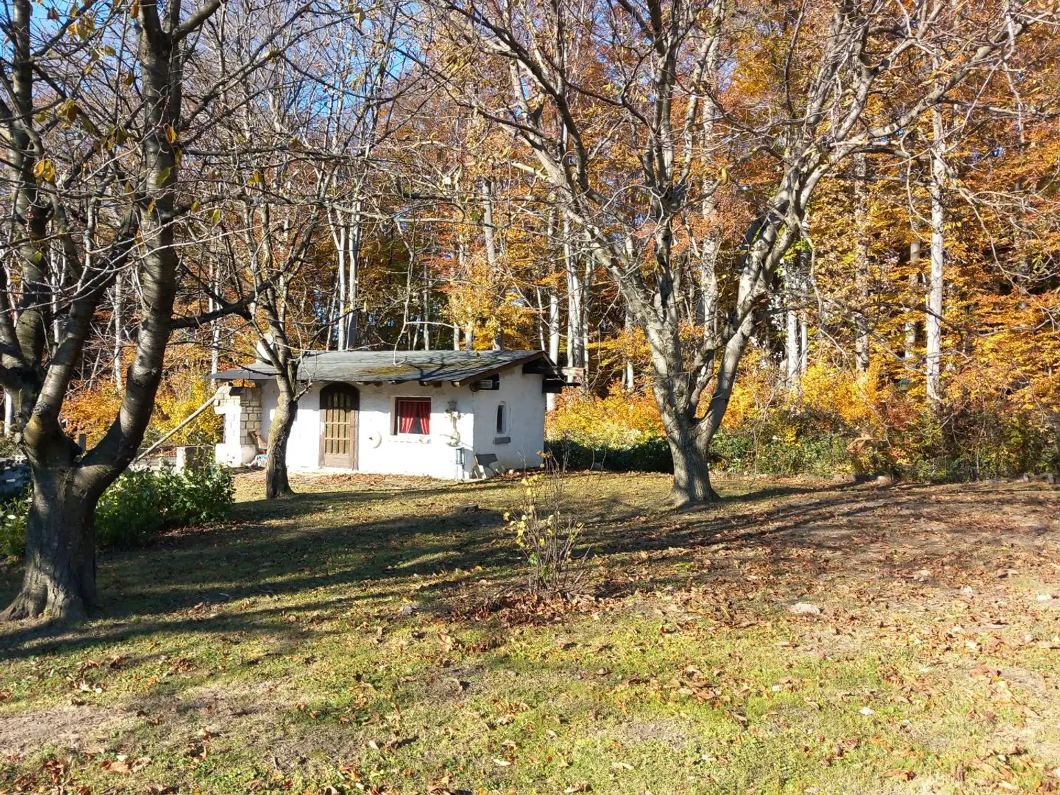 LANDHAUS MIT GROSSEM, SONNIGEN GRUND AM WALDRAND