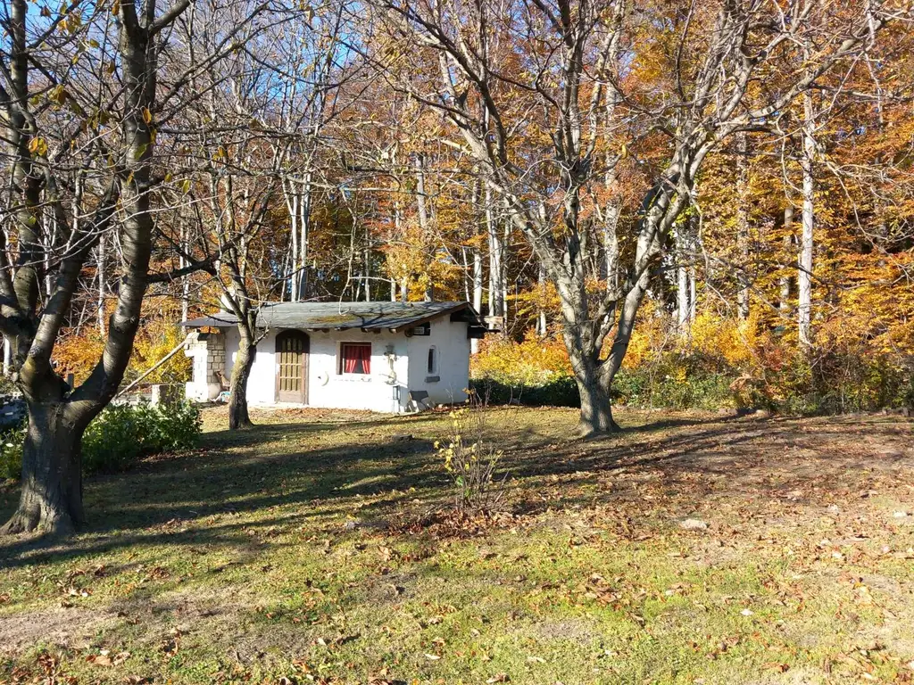 LANDHAUS MIT GROSSEM, SONNIGEN GRUND AM WALDRAND
