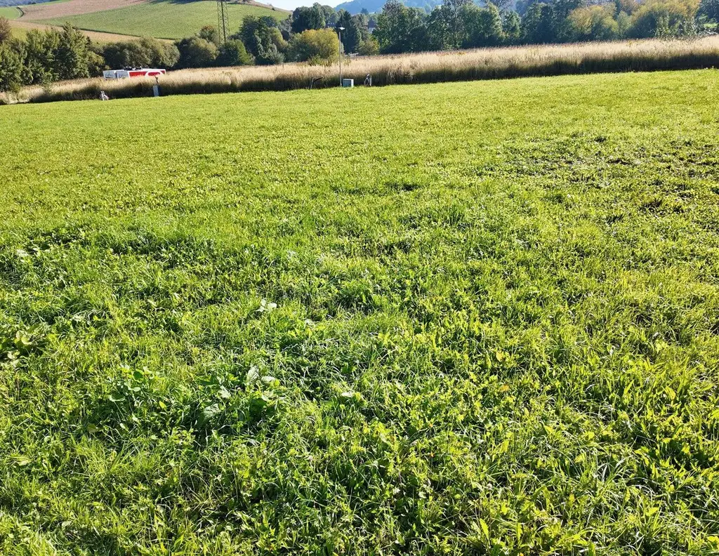 BAUGRUNDSTÜCK in Bischofstetten/ NÖ im Bezirk Melk (Entfernung St. Pölten 15 km)