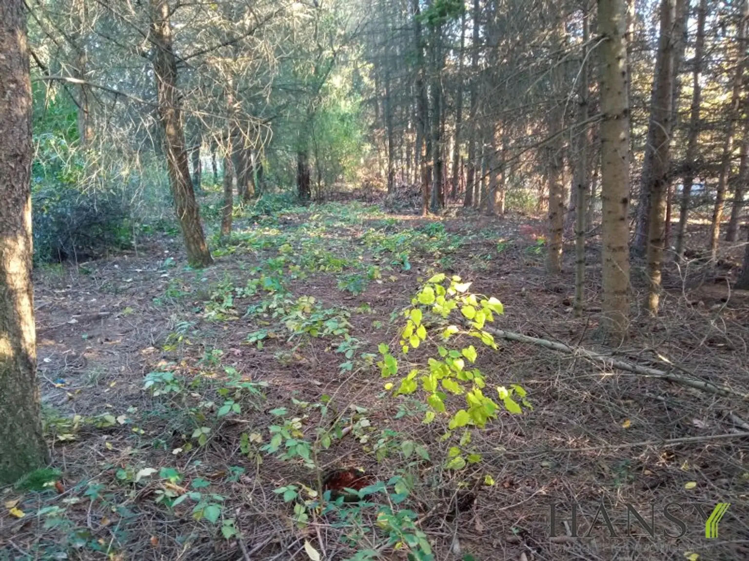 Naturparadies