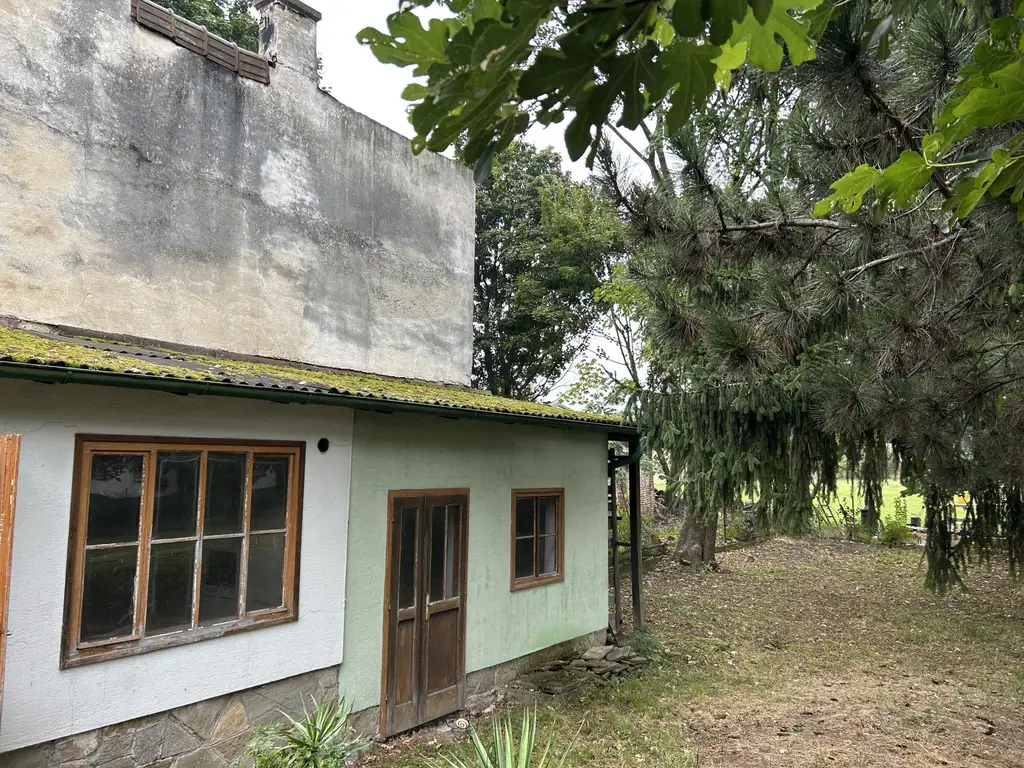 Exklusives Grundstück in Langenzersdorf mit Altbestand