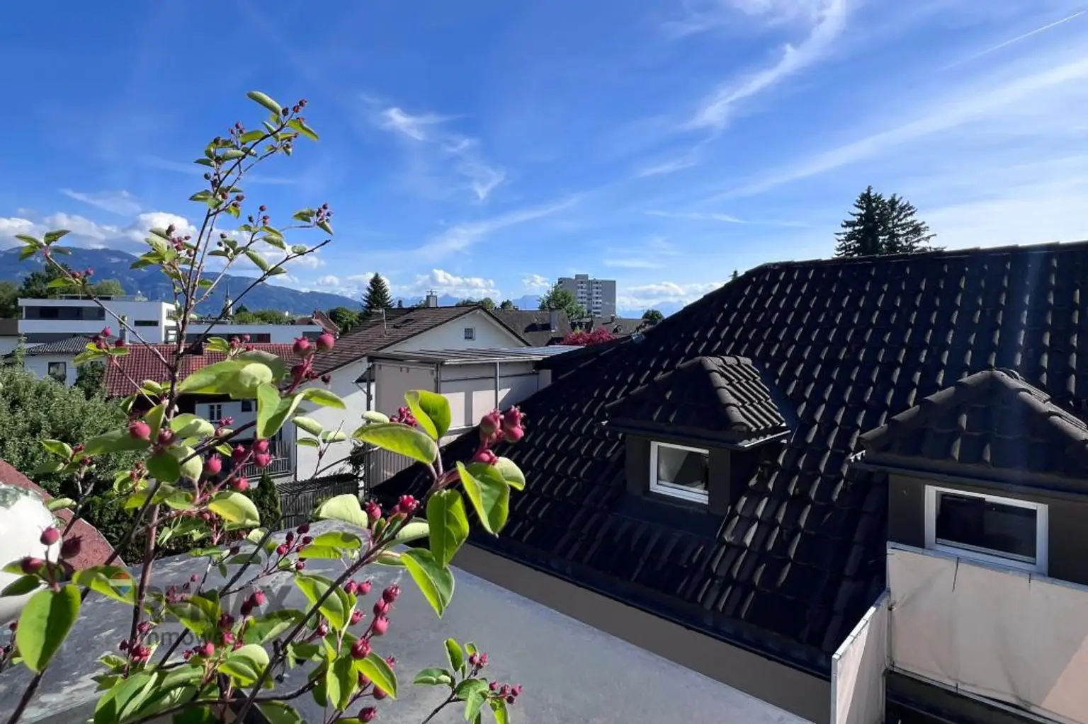 Aussicht