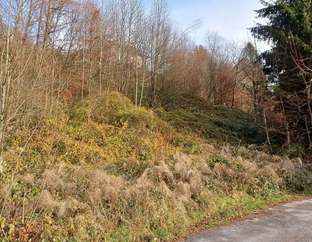 Bad Ischl - Hanggrundstück in schöner, ruhiger Lage