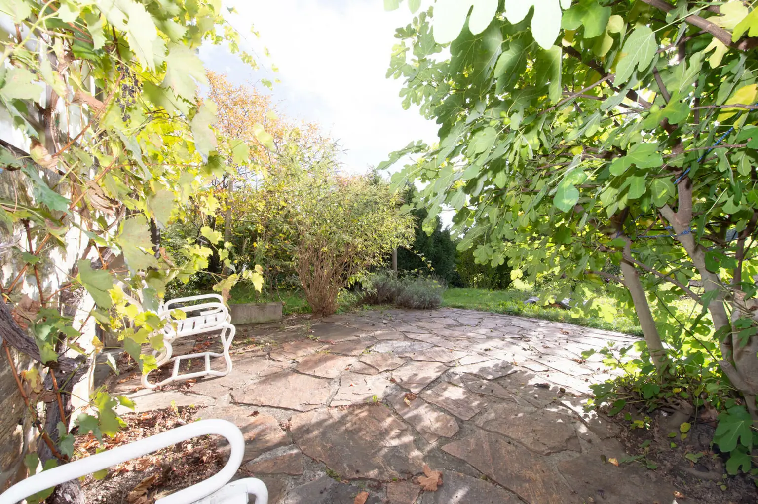 Licht, Leben & Landschaft – Ein Haus mit Herz in Thal bei Graz