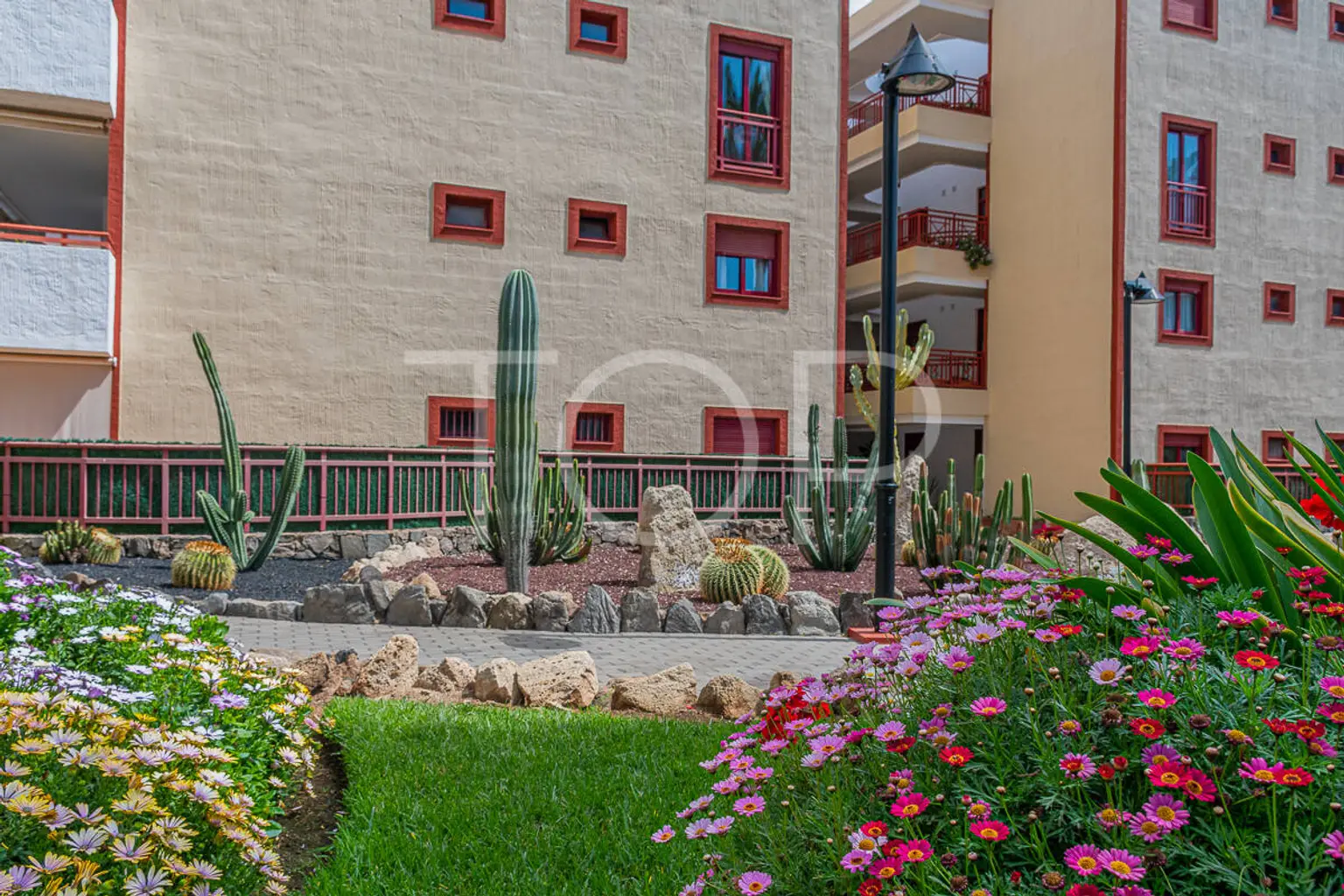 Los-Blandros-Tenerife (3)