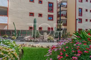 Los-Blandros-Tenerife (3)