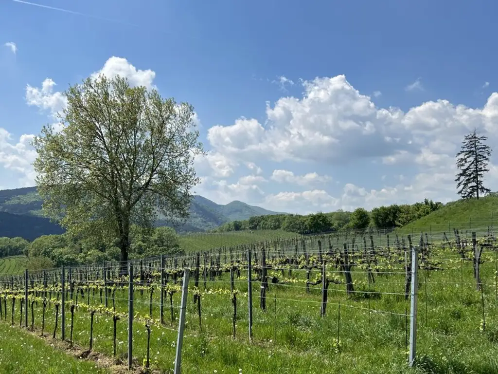 Gut aufgeteilte 3-Zimmer-Dachgeschosswohnung mit Balkon zu verkaufen!