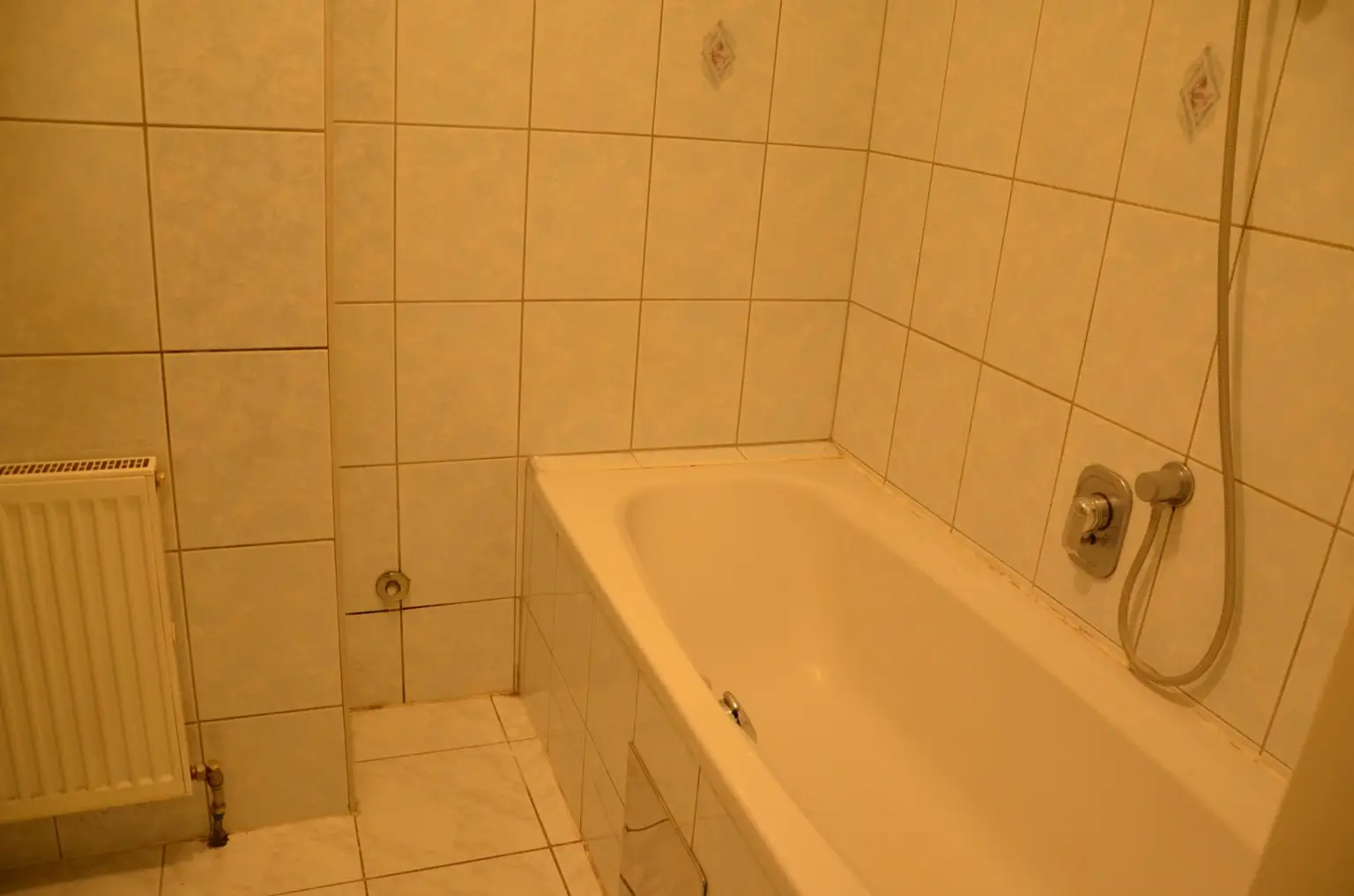 Wohnung mit Balkon  im Hochparterre