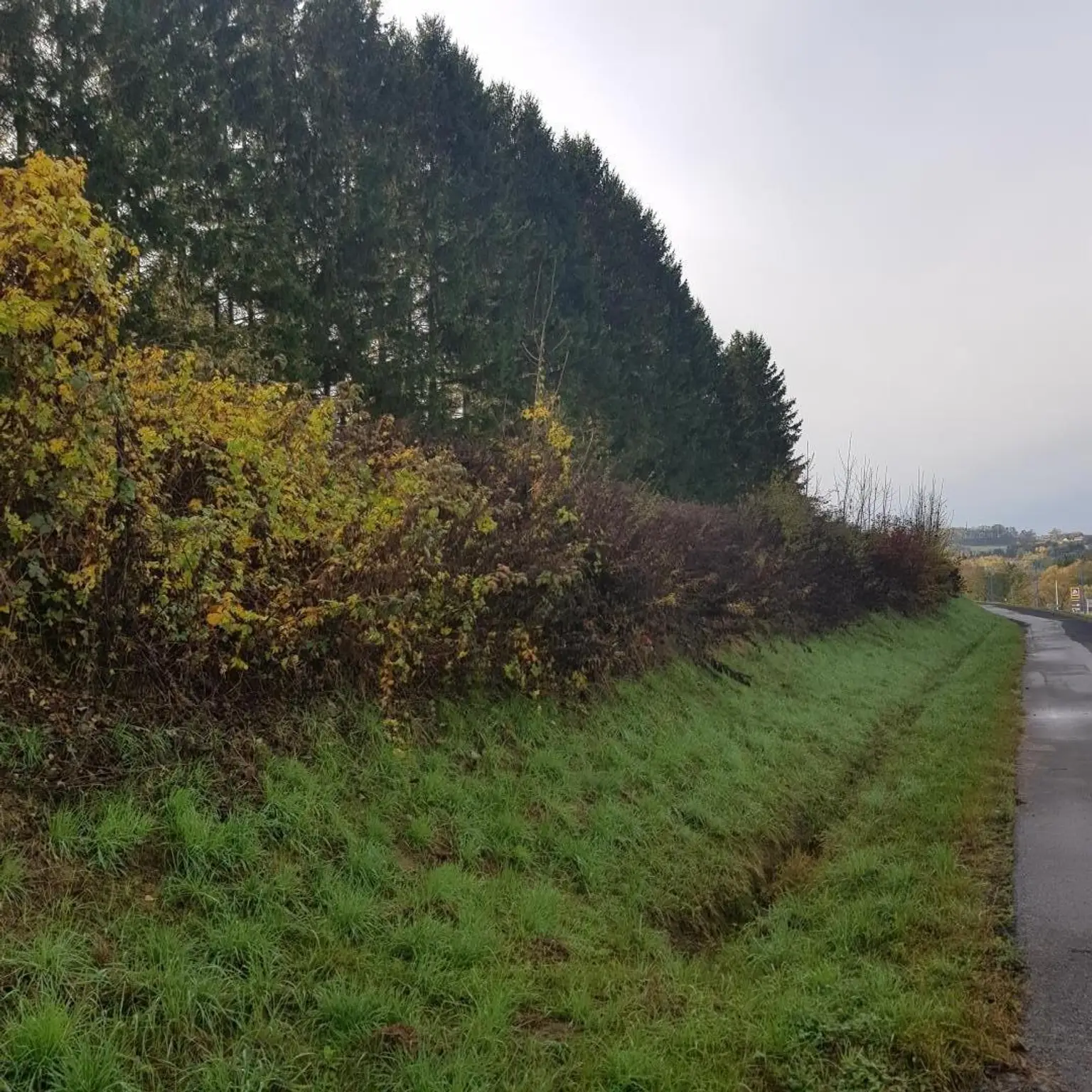 Längsansicht des Grundstückes