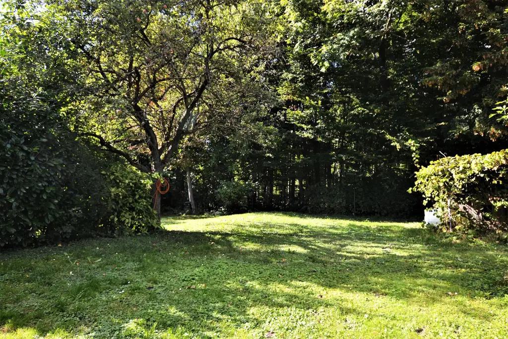 Wohnen im Grünen – Einfamilienhaus mit direktem Waldzugang