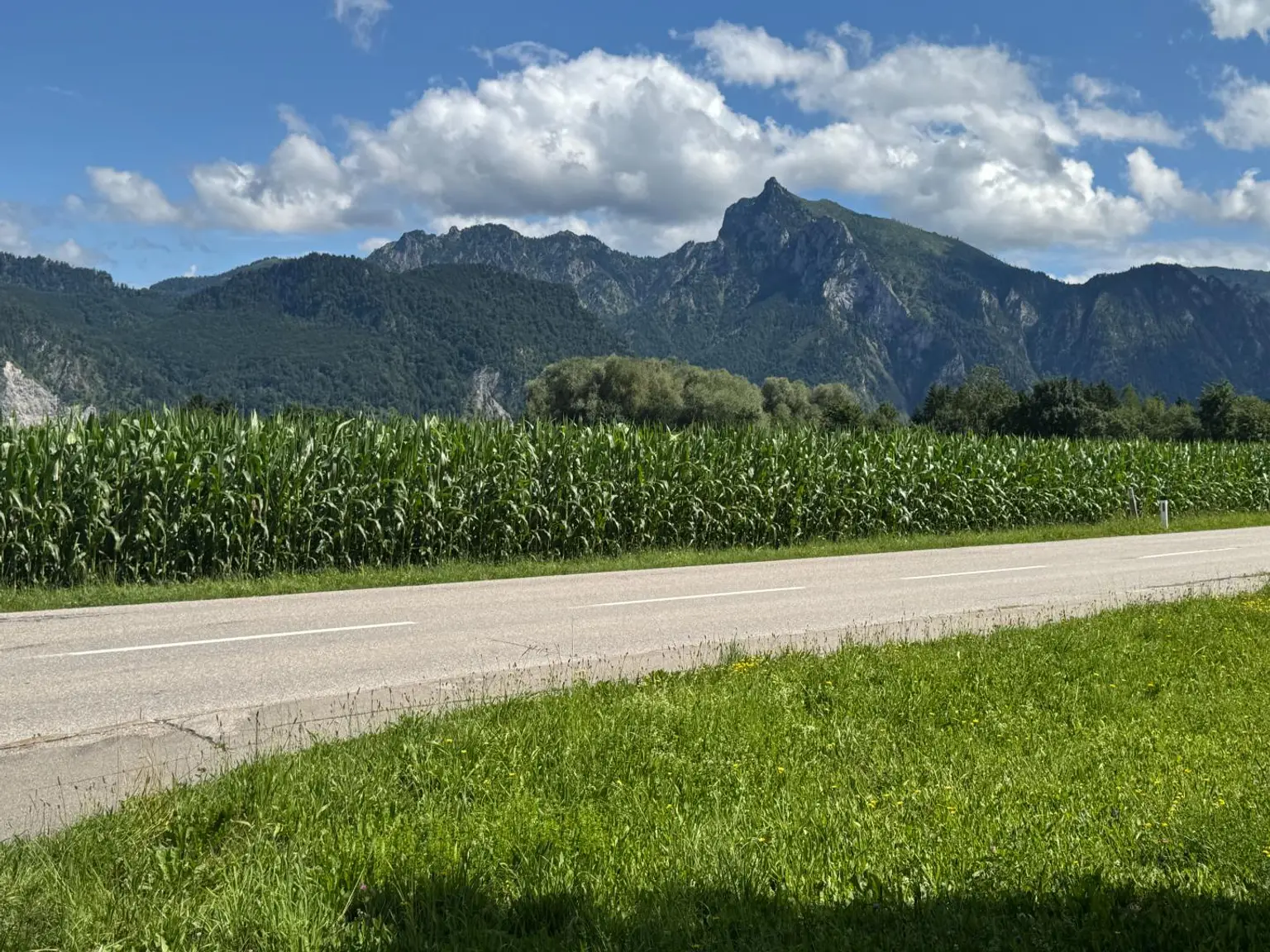 Den Traunsee zu Füßen...