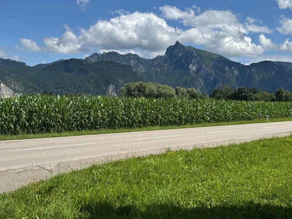 Den Traunsee zu Füßen...