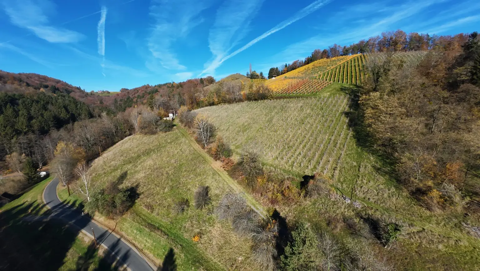 Weingarten mit Landwirtschaft und Altbestand in Kranach, Gemeinde Gamlitz