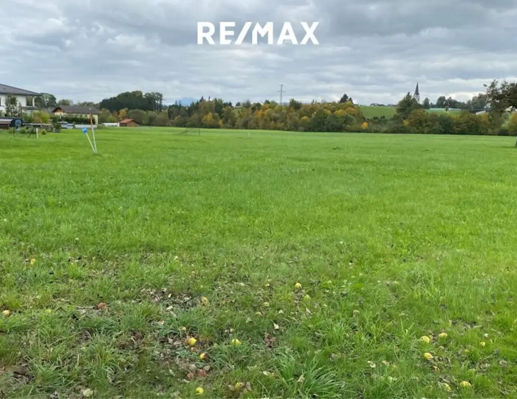 Sonniges, vollkommen ebenes Grundstück im Dorfgebiet von Gampern - Seltene Gelegenheit mit viel Potenzial