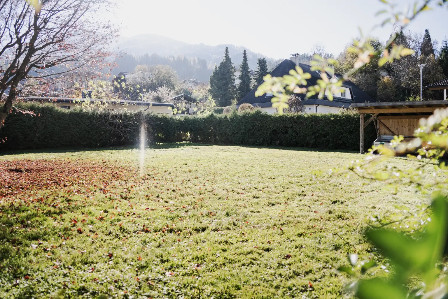 Grundstück mit Altbestand