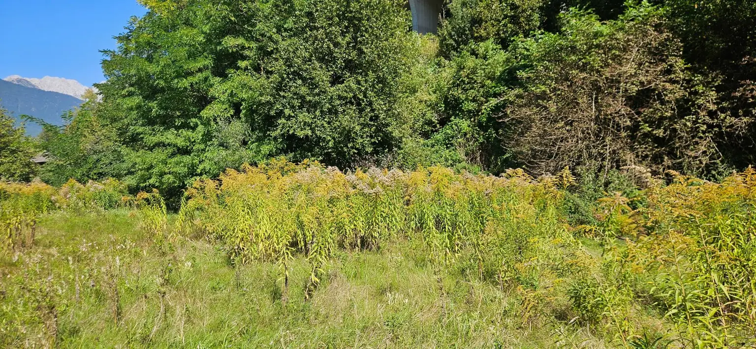 Grundstück in Imst – kompakte Größe, viele Optionen!