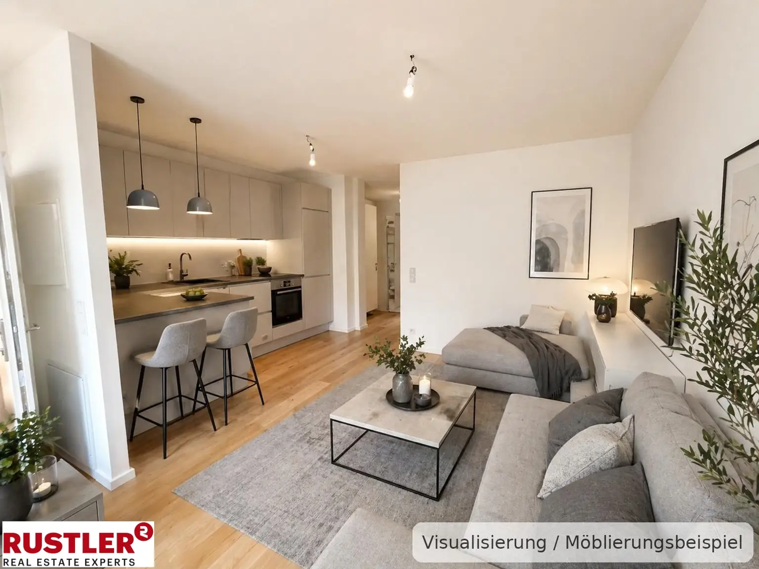 Wohnzimmer_kueche_vi