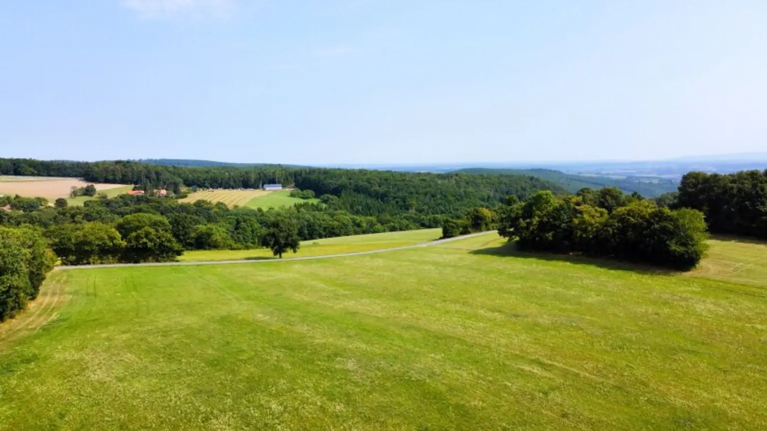 Grundstück mit Baumbestand für landwirtschaftliche Zwecke | 60.053 m² | Schwarzenbach in der Buckligen Welt