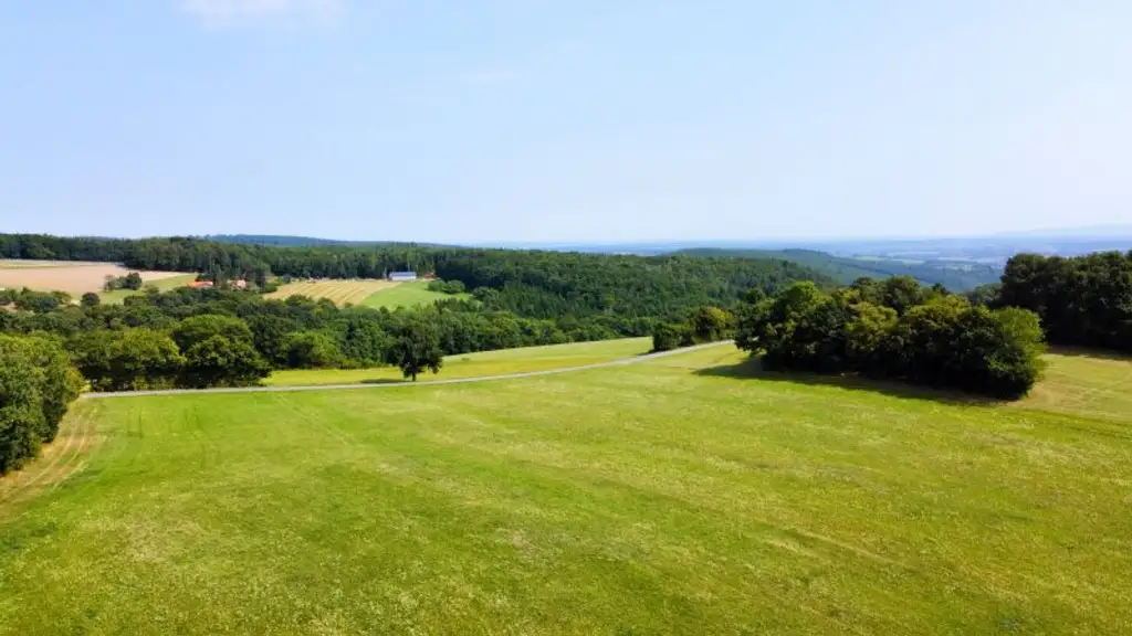 Grundstück mit Baumbestand für landwirtschaftliche Zwecke | 60.053 m² | Schwarzenbach in der Buckligen Welt