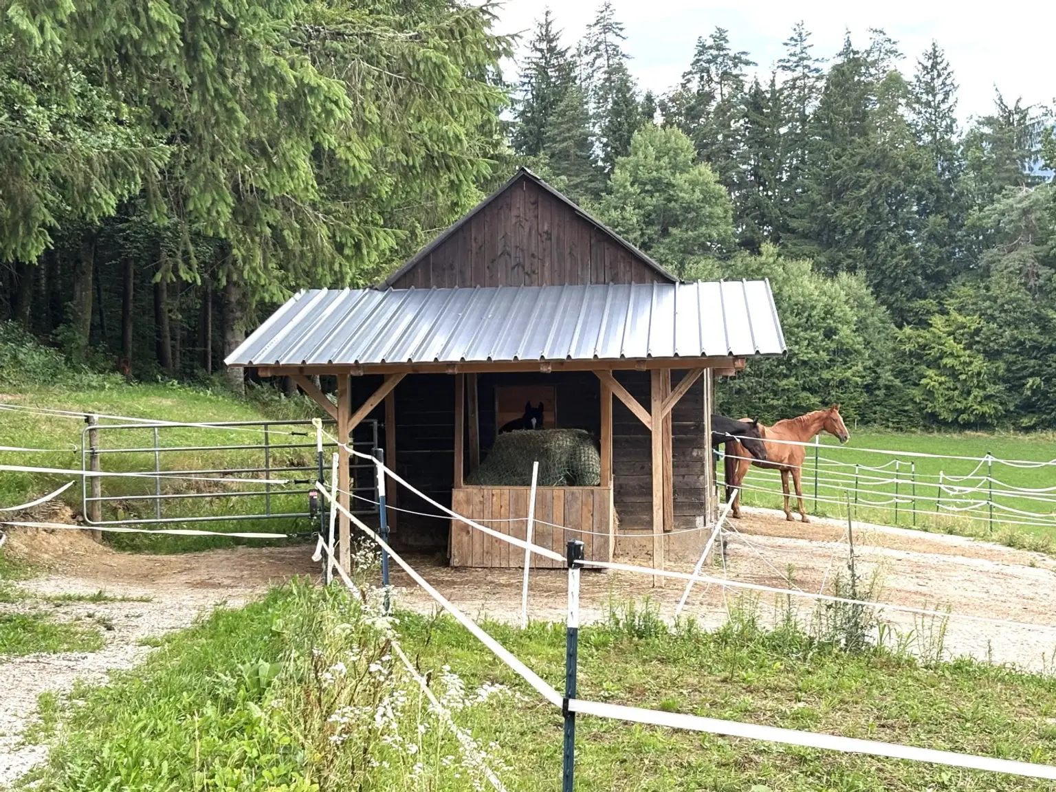KLEINLANDWIRTSCHAFTLICHES JUWEL! CA.10 HEKTAR WALD! WIESEN! BETRIEBSFLÄCHEN!