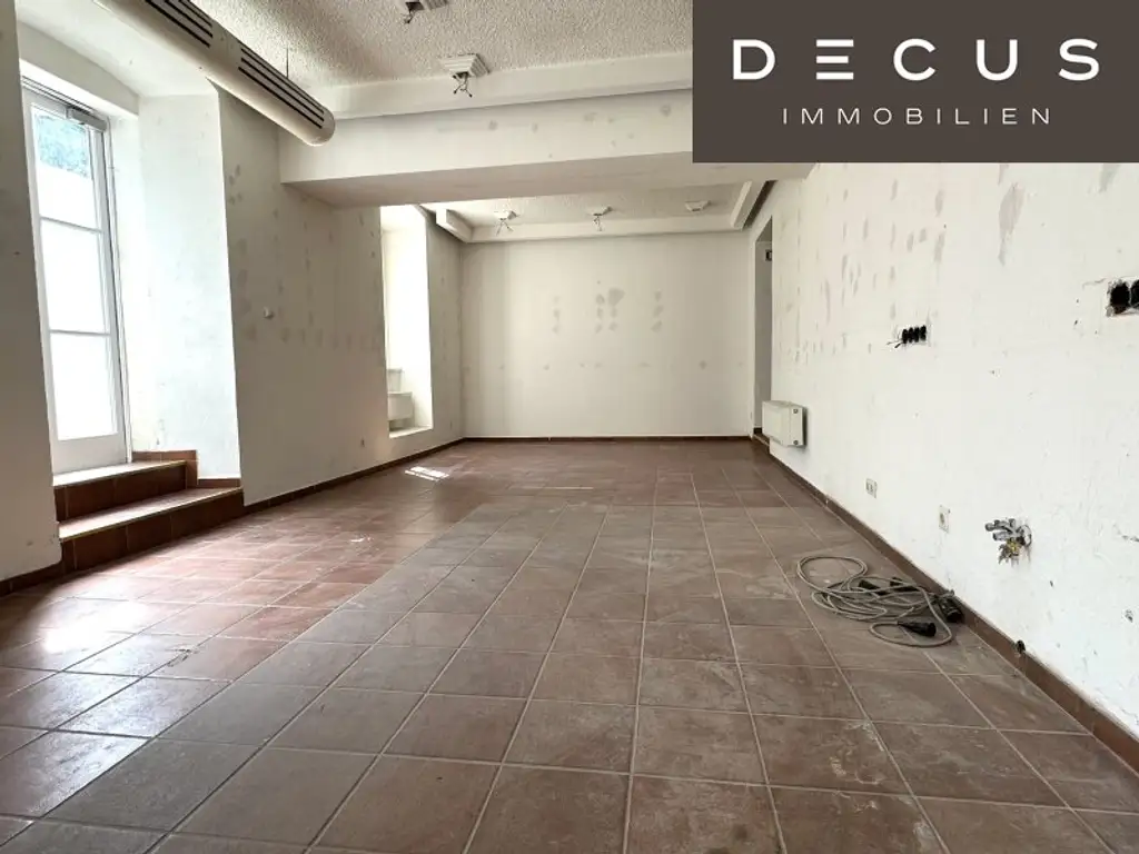 + + + verbindbare Erdgeschossflächen ca. 210 m² + + + SCHLOSS HETZENDORF + + +