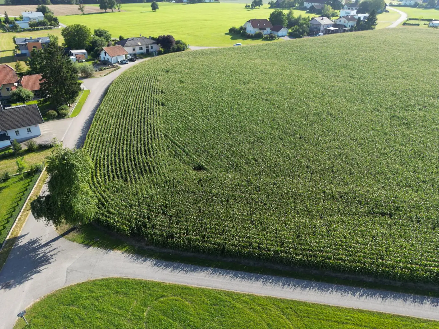 Neu vermessene Grundstücke in Breitenried