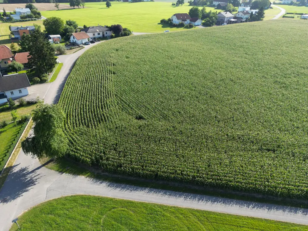 Neu vermessene Grundstücke in Breitenried