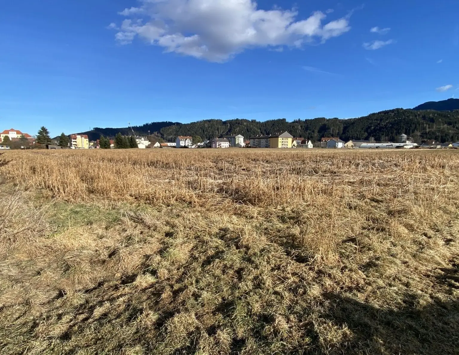 Attraktives Bauträger-Grundstück: 7.425 m² in begehrter Lage in Apfelberg!