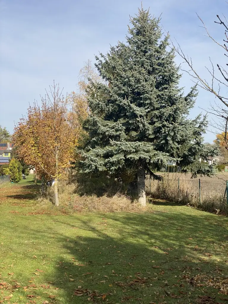 "Energieeffiziente Villa in schöner Lage"