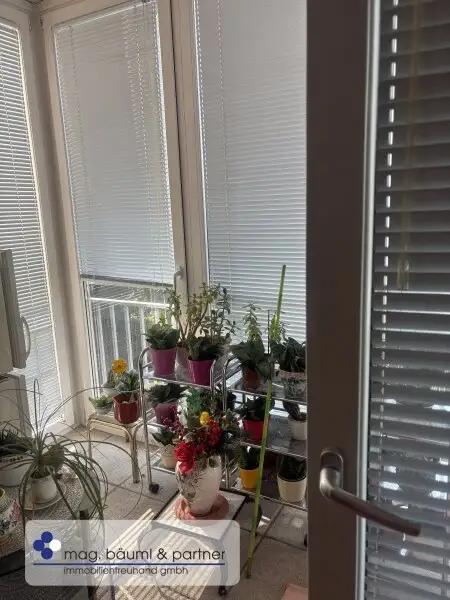 Wohnung mit Balkon und Wintergarten
