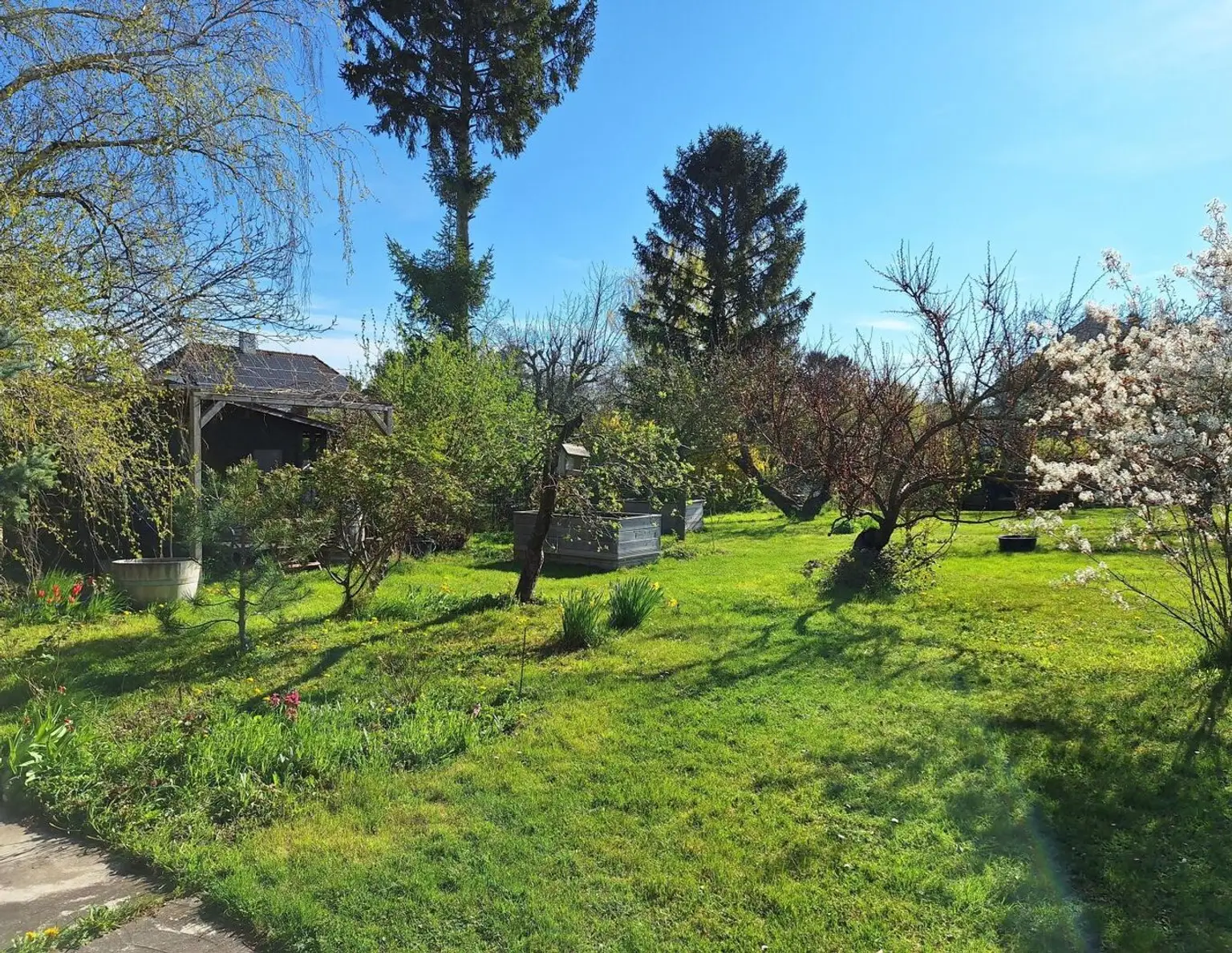 Großes Grundstück mit zwei Kaufoptionen (Teilungsentwurf)