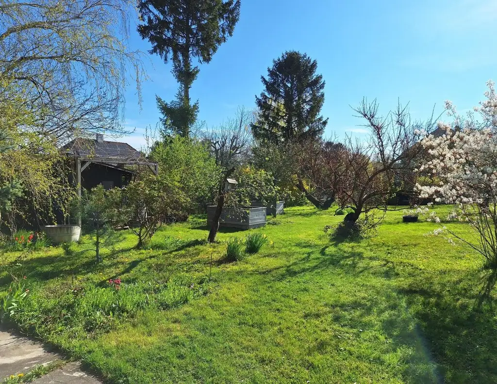 Großes Grundstück mit zwei Kaufoptionen (Teilungsentwurf)