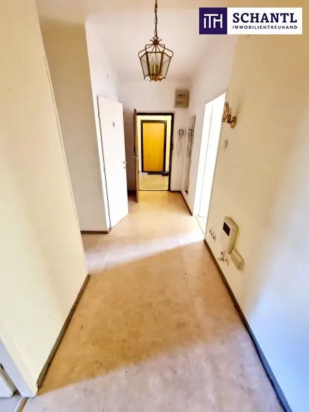Absolute Grün- und Ruhelage! Gebraucht. Gepflegt. Geliebt! Perfekt aufgeteilte 3-Zimmer + separate Küche / 2 Balkone / Viele Möglichkeiten! Ruhig wohnen, gut leben!