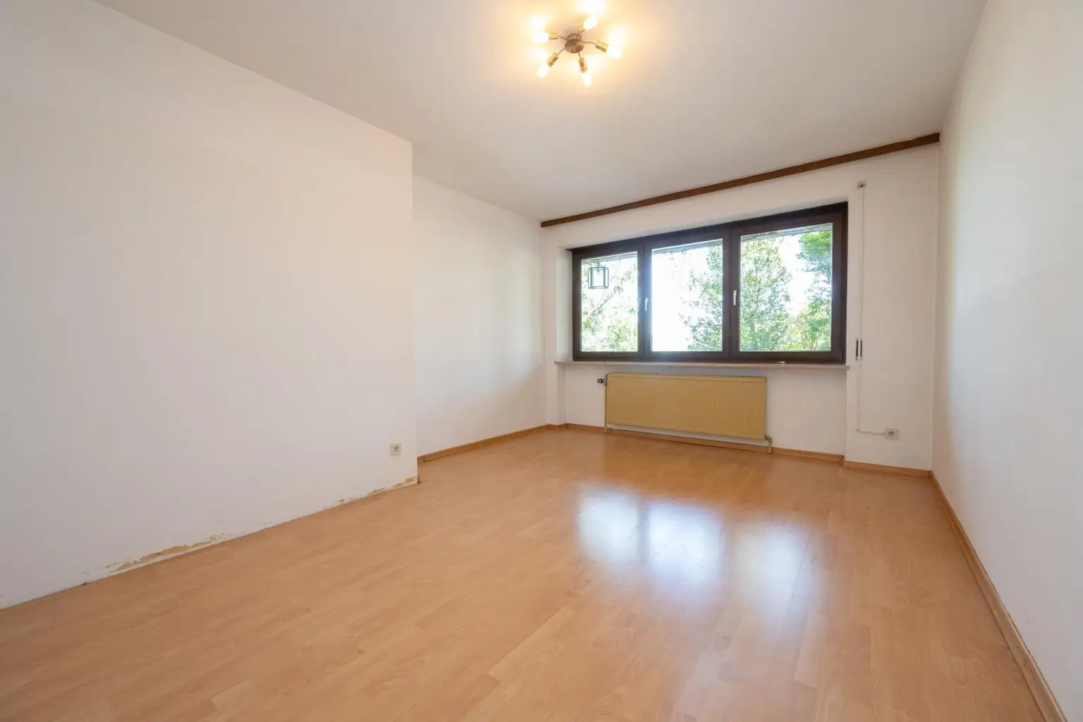 Zimmer EG