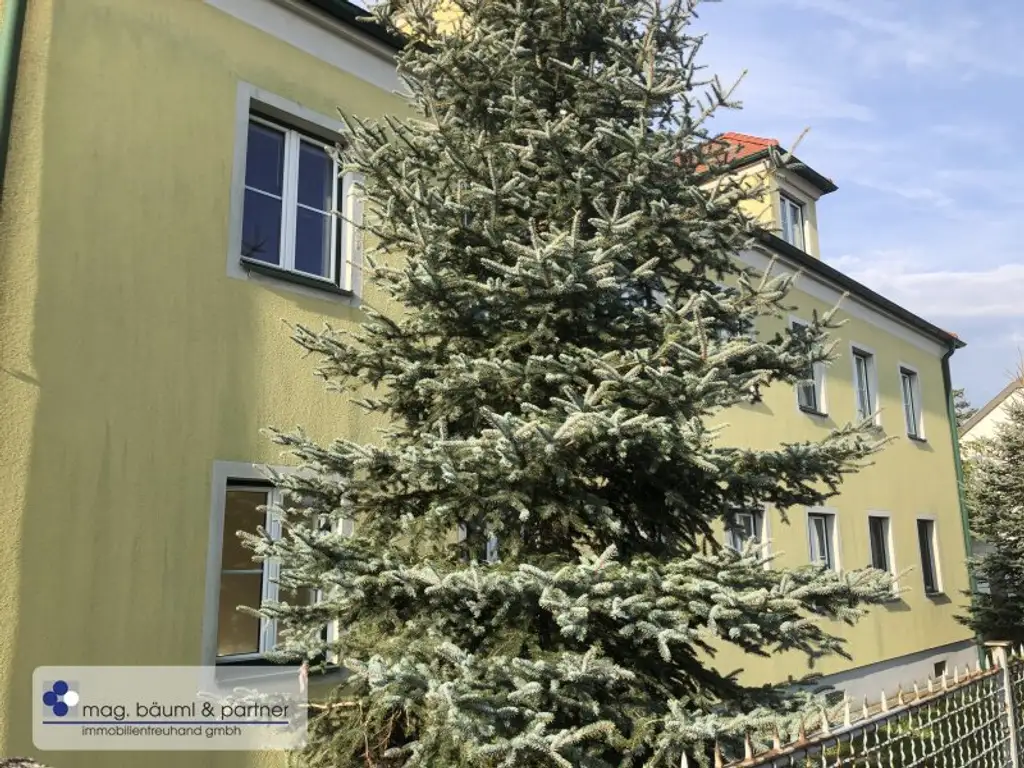 3 geräumige Zimmer, Küche mit Essplatz, Gartennutzung und PKW Stellplatz