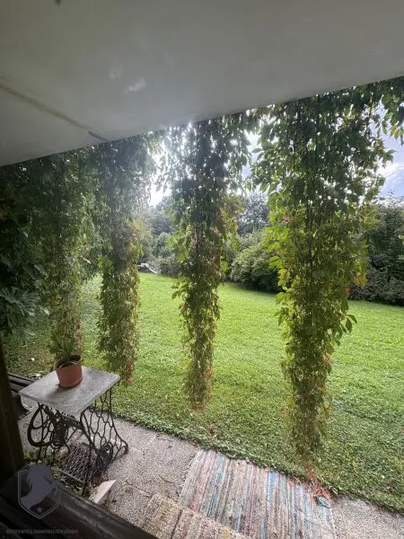 Einfamilienhaus mit großem Keller und traumhaftem Wald-Blick