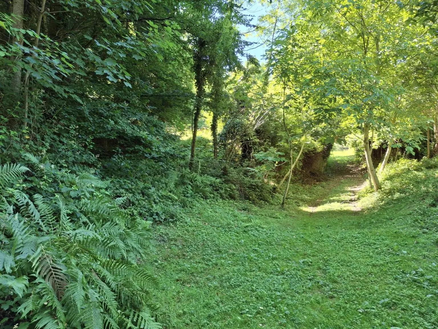 Grundstück für Freigeister in idyllischer Waldlage