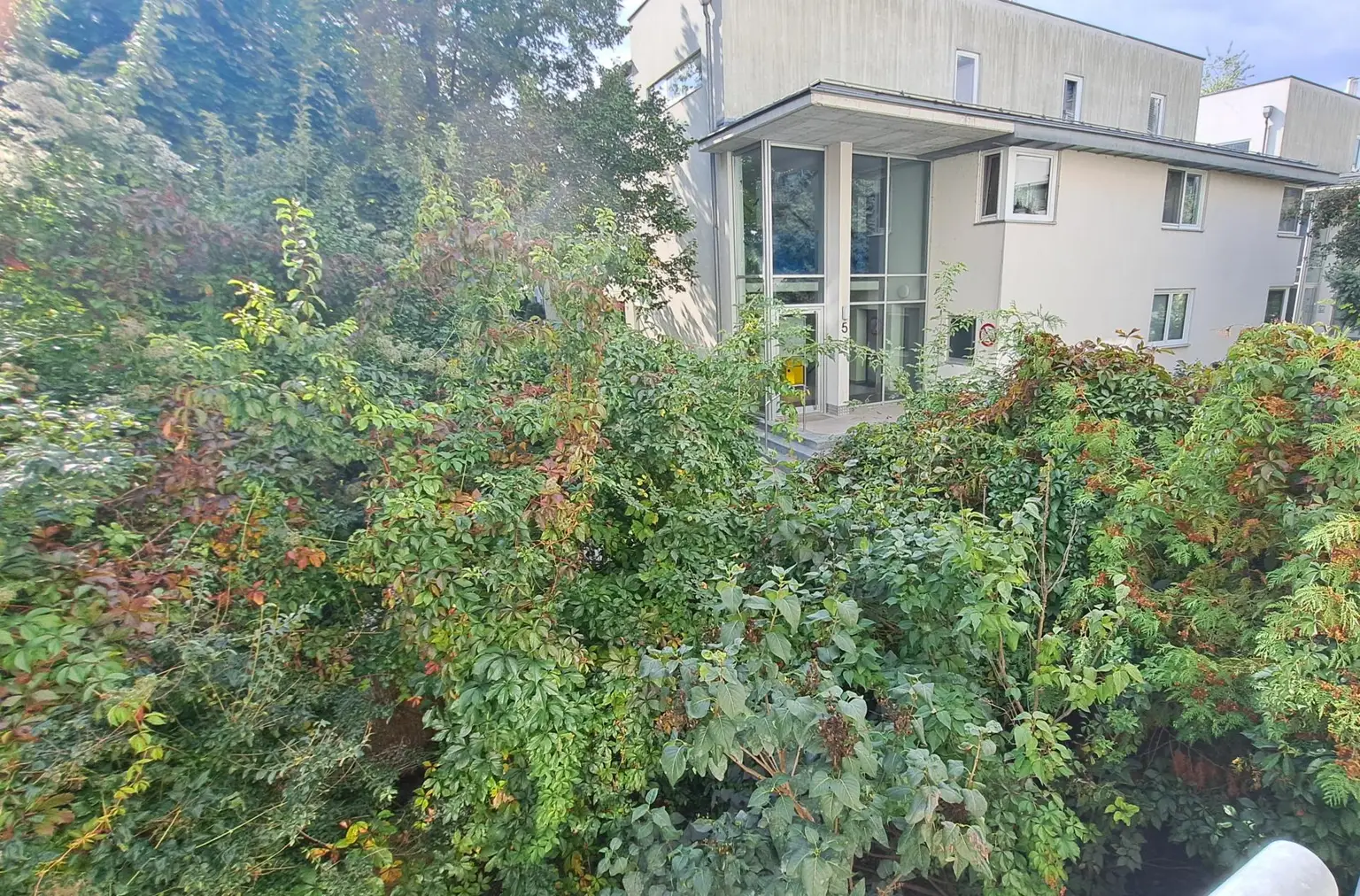 Gemütliche 2 Zimmer in Grünruhelage am Leberberg im 11. Bezirk
